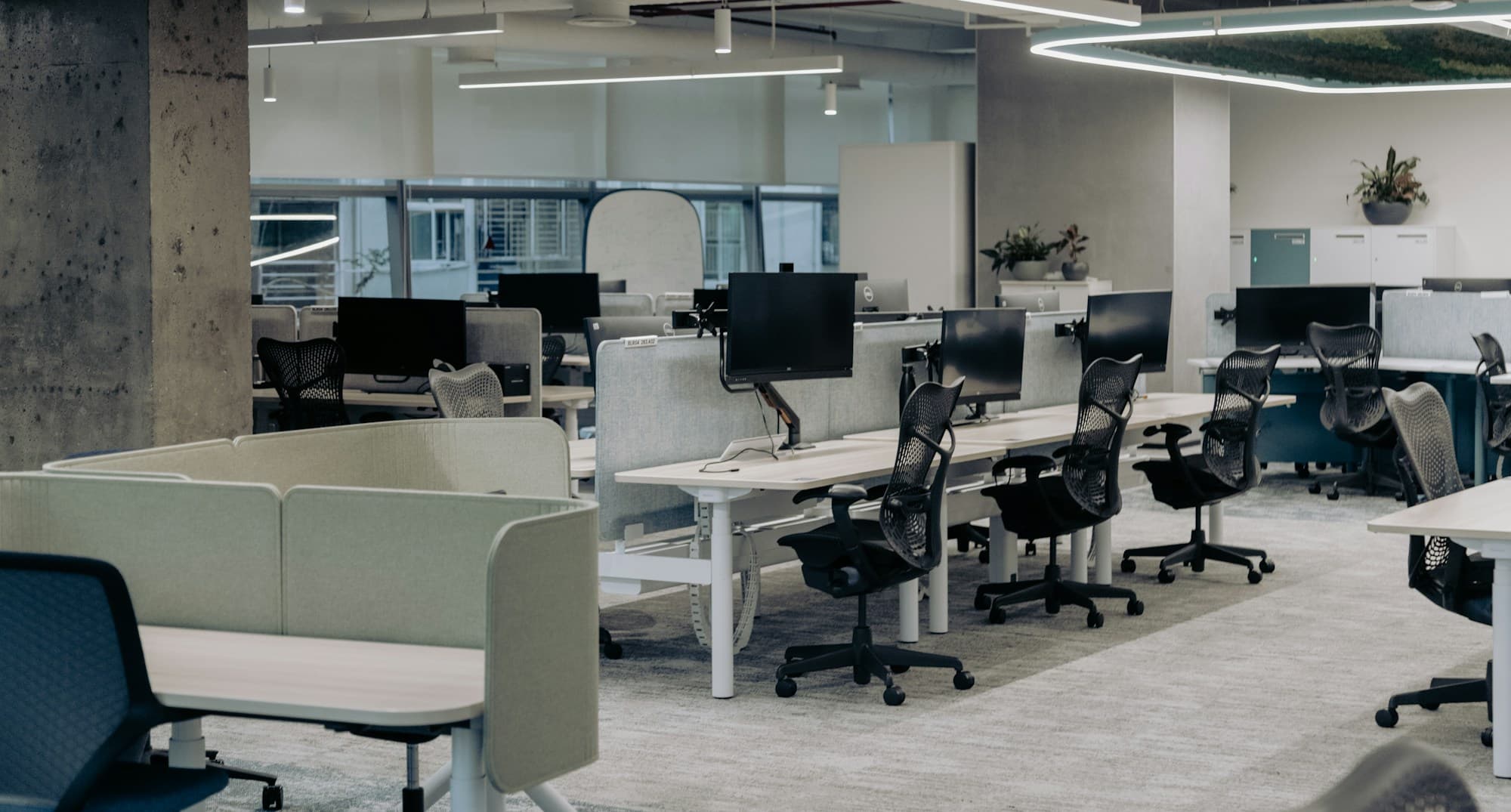 Open-plan workspace with an emphasis on natural light